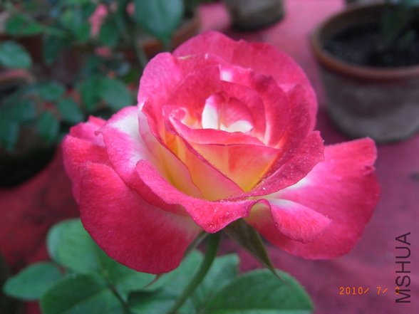 RIMG0277_������С.JPG