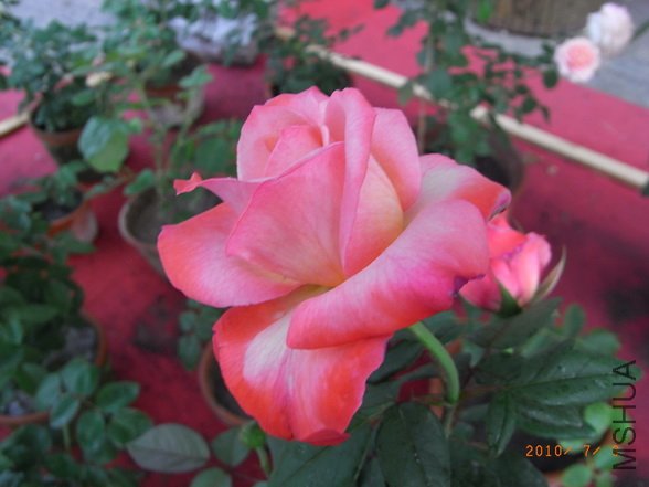 RIMG0290_������С.JPG