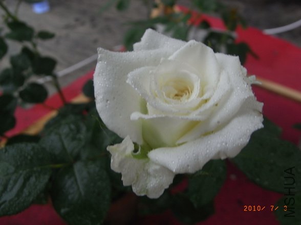 RIMG0273_������С.JPG