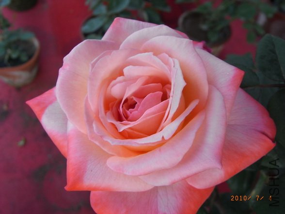 RIMG0290_������С.JPG