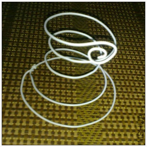 20100704478.jpg