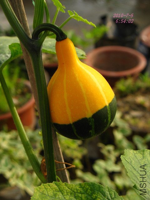 �е������