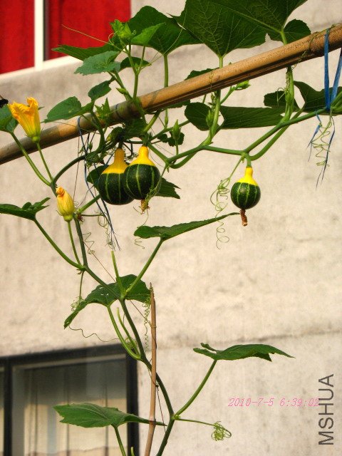 ���������յ�