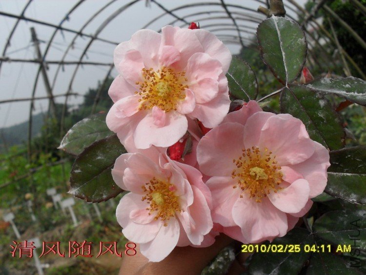 �ŵ���11 (2).jpg