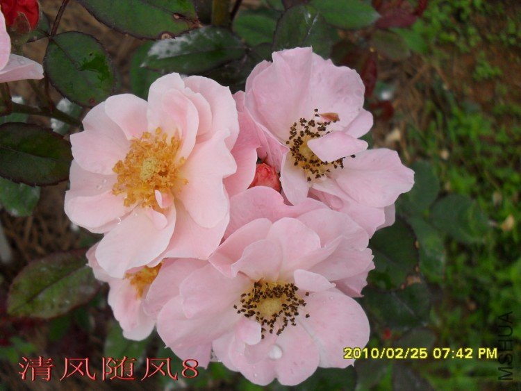 �ŵ���11 (6).jpg