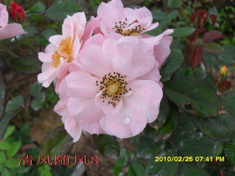 �ŵ���11 (4).jpg