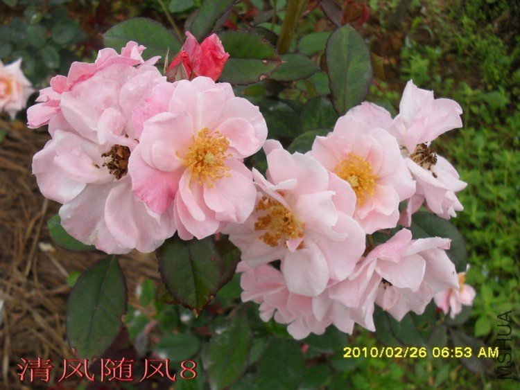 �ŵ���11 (7).jpg