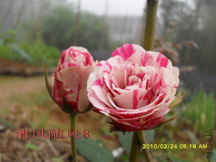 ����11 (2).jpg