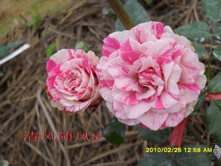 ����11 (8).jpg