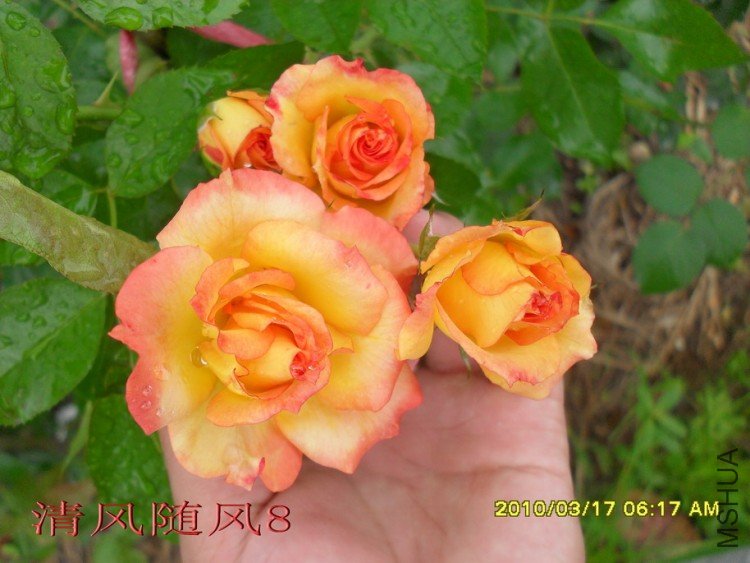 �谮С��11 (2).jpg