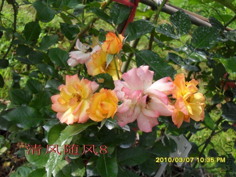 �谮С��11 (1).jpg