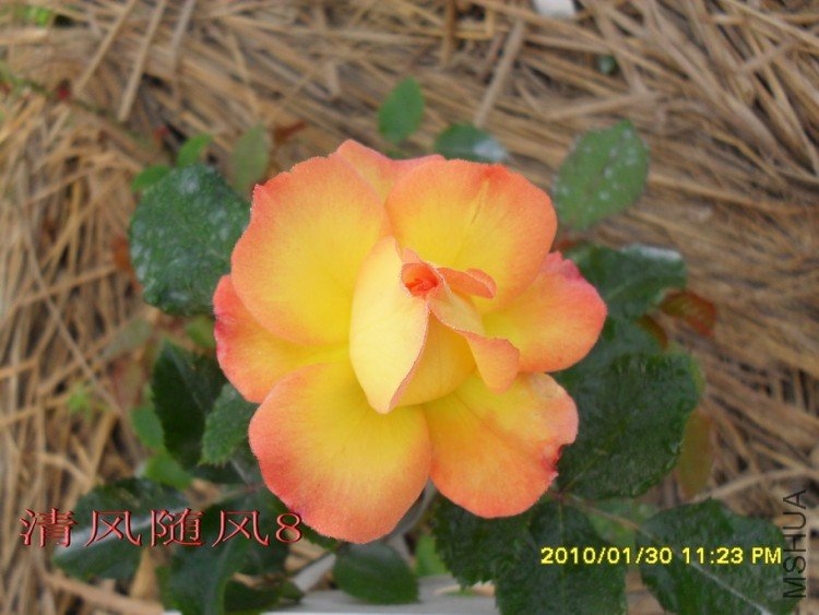 �谮С��11 (7).jpg