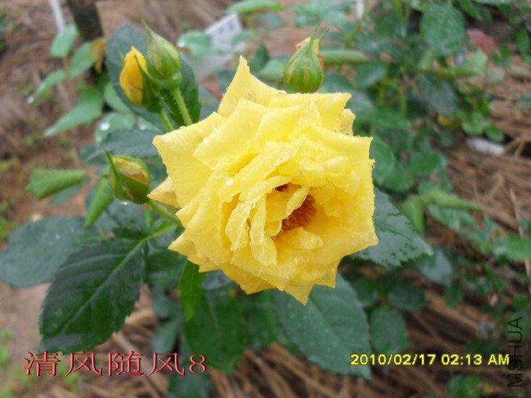 �¹�����11 (1).jpg