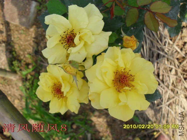 �¹�����11 (4).jpg