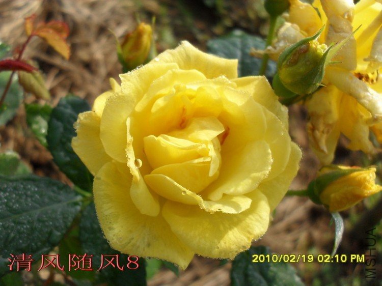 �¹�����11 (2).jpg