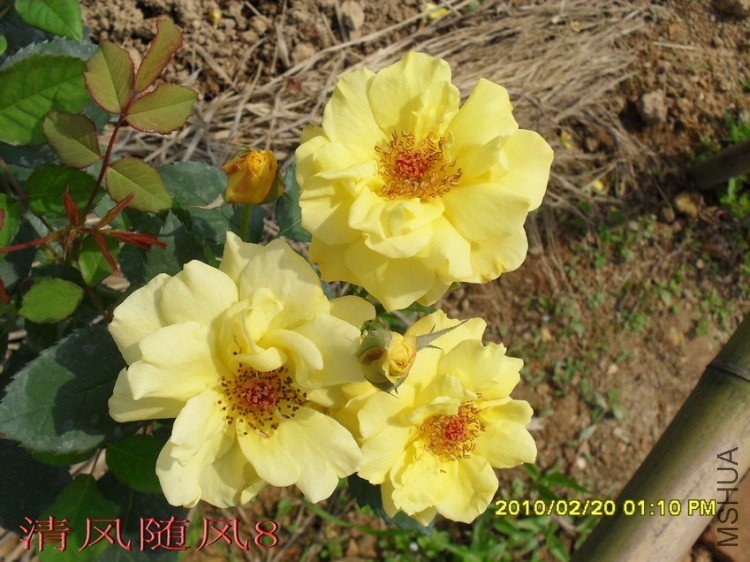 �¹�����11 (7).jpg