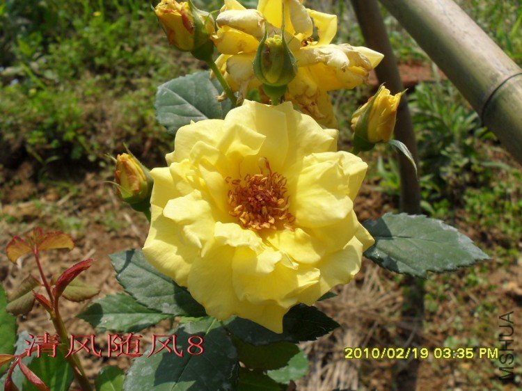 �¹�����11 (3).jpg