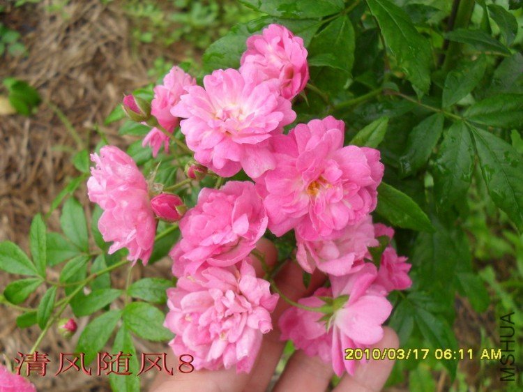 ��������11 (2).jpg