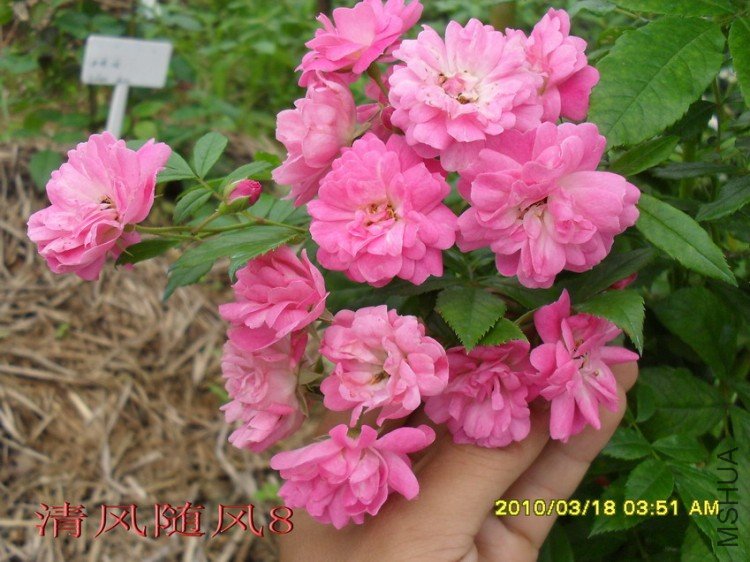 ��������11 (6).jpg