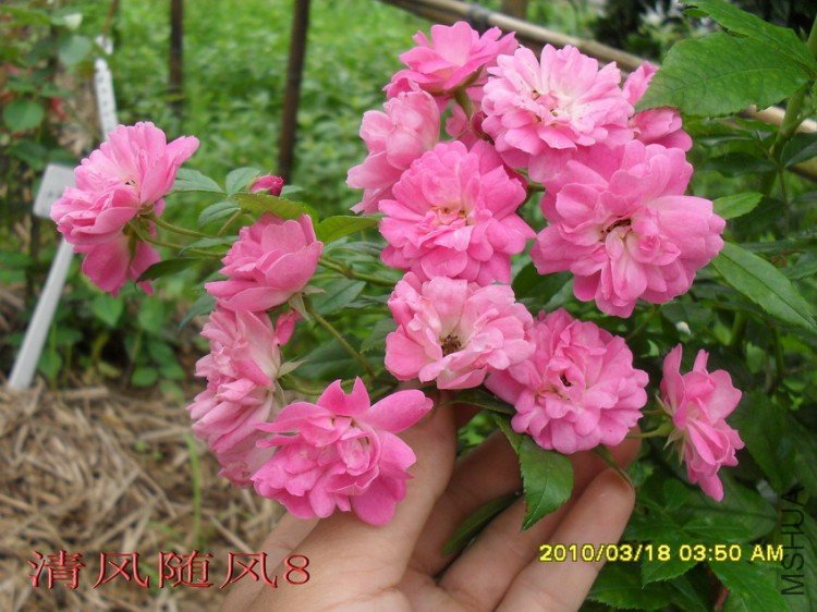 ��������11 (3).jpg