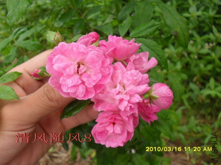 ��������11 (1).jpg