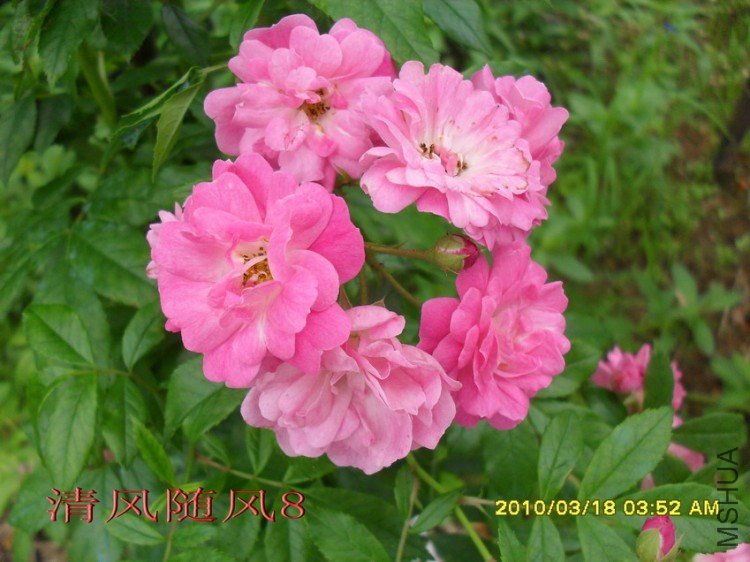 ��������11 (7).jpg