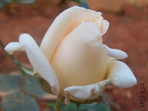 20100707 009.jpg