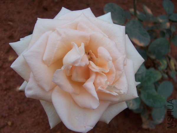 20100707 039.jpg