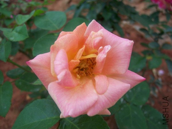 20100707 040.jpg
