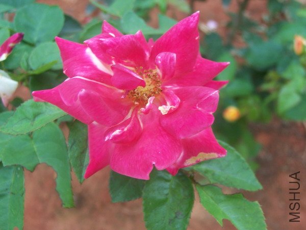 20100707 042.jpg