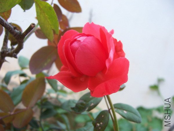 20100707 051.jpg