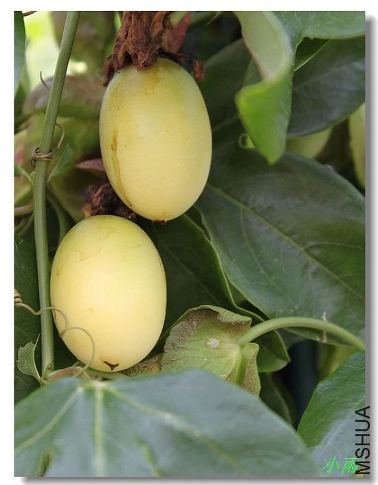 ����ǡ���������