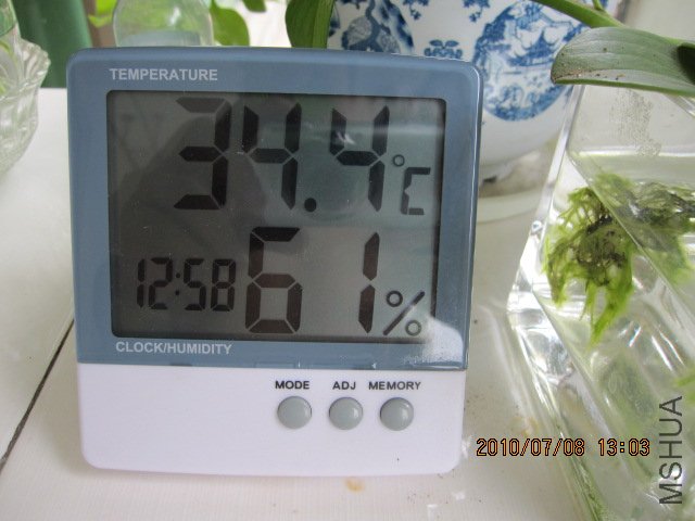 IMG_1527.JPG