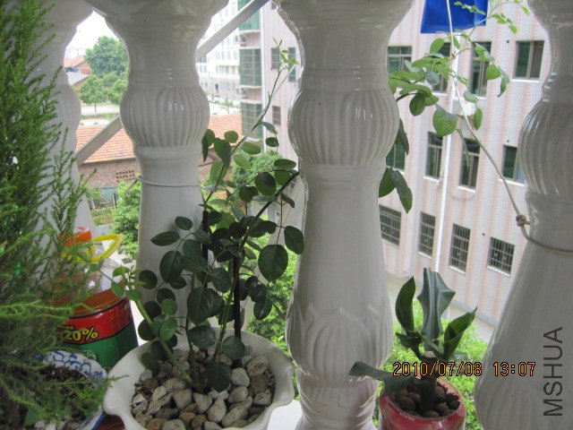 IMG_1541.JPG