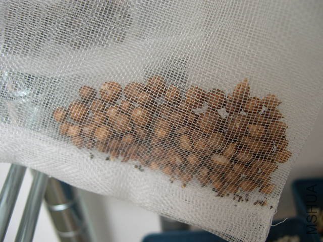 DSCN2517.JPG