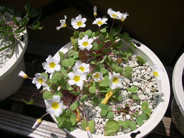 DSCN1778.JPG