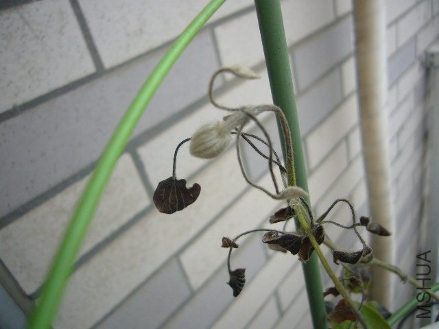 P1070203.JPG