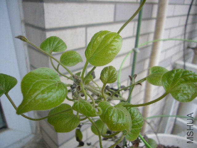 P1070201.JPG
