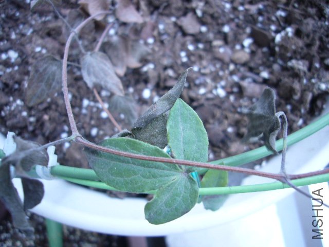 P1070210.JPG