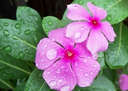 200915204537243.jpg