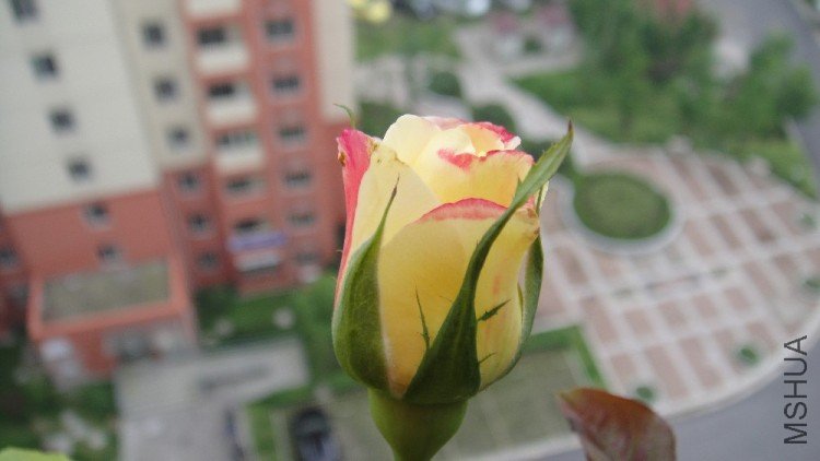 20100059.JPG