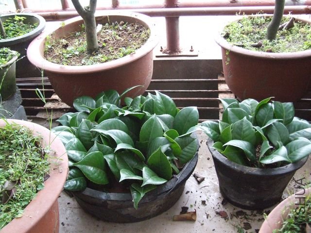 ��͸ˮ�������������