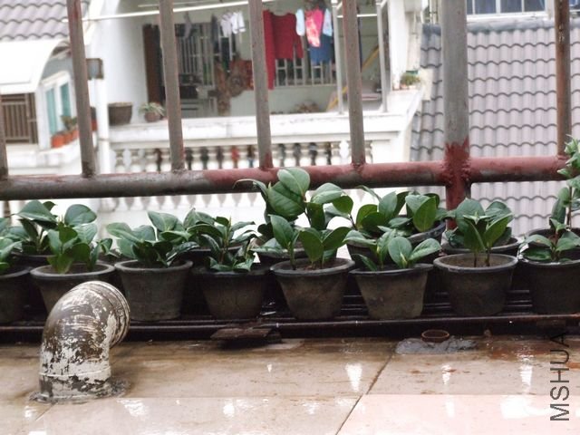 ������С����