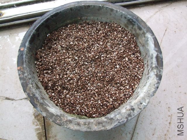 ��������Ǥ�����