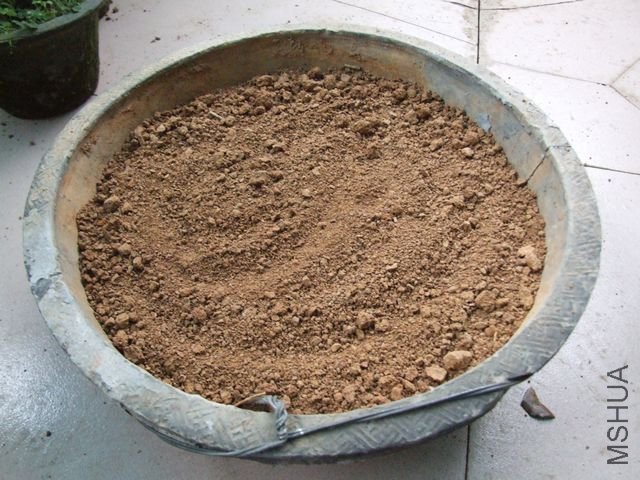 �绯��������Ǥ�����