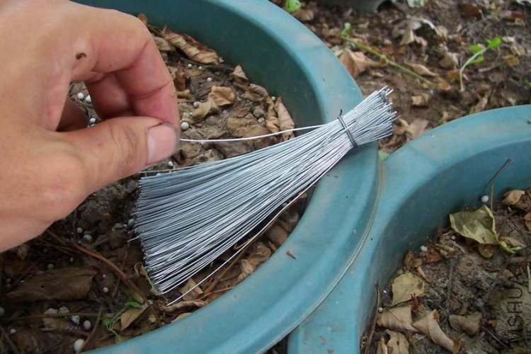 100_5670.JPG
