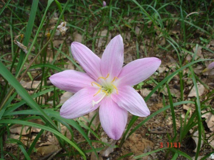 DSC01144.JPG