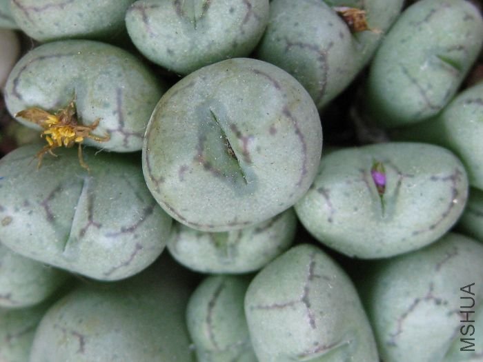 2010��7�� 061.jpg