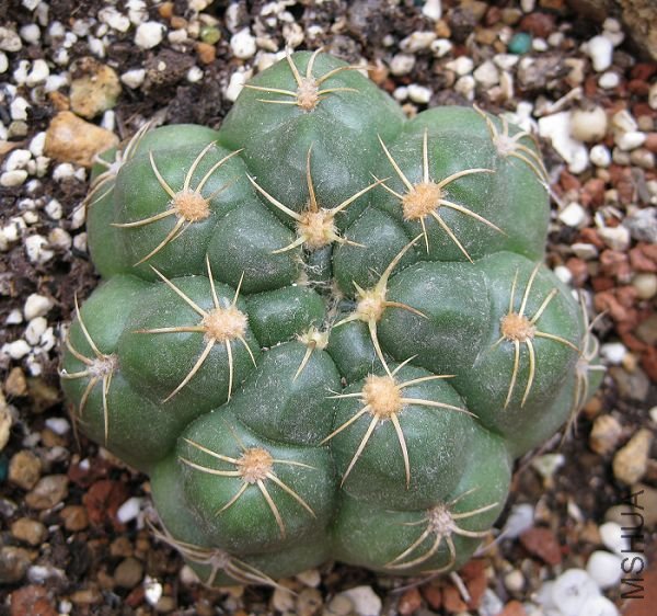 2010��7�� 021.jpg