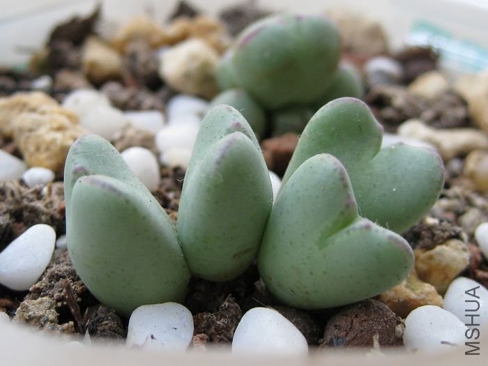 2010��7�� 054.jpg